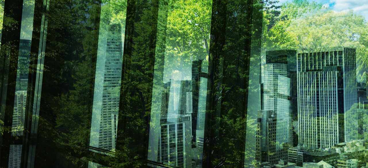 Green Buildings & Automation Systems | Johnson Controls