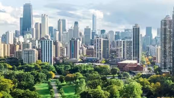 A cityscape lined with greenery at daytime