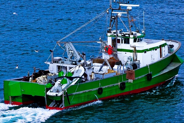 green and white fishing boat