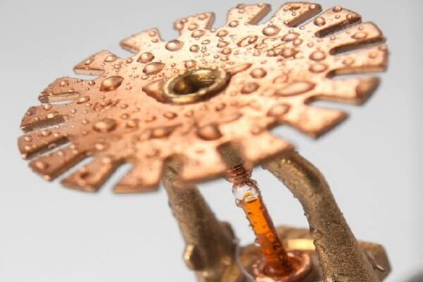Close up of a bronze pendent sprinkler
