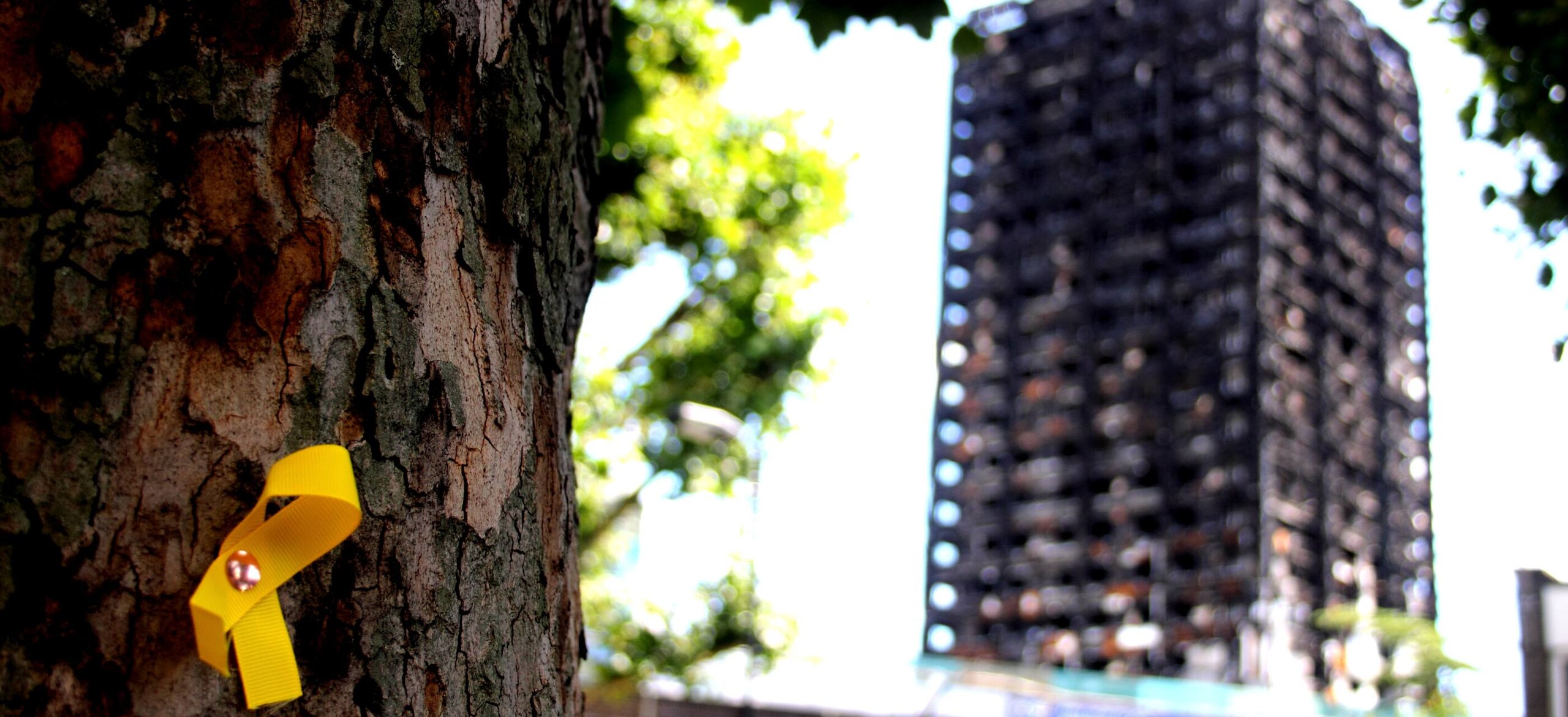 Yellow ribbon nailed on a tree to symbolise fire safety with a blurred high rise building in the background