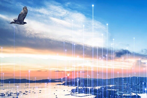 A bird flying over a coastal sky with modern graphics layered over the image