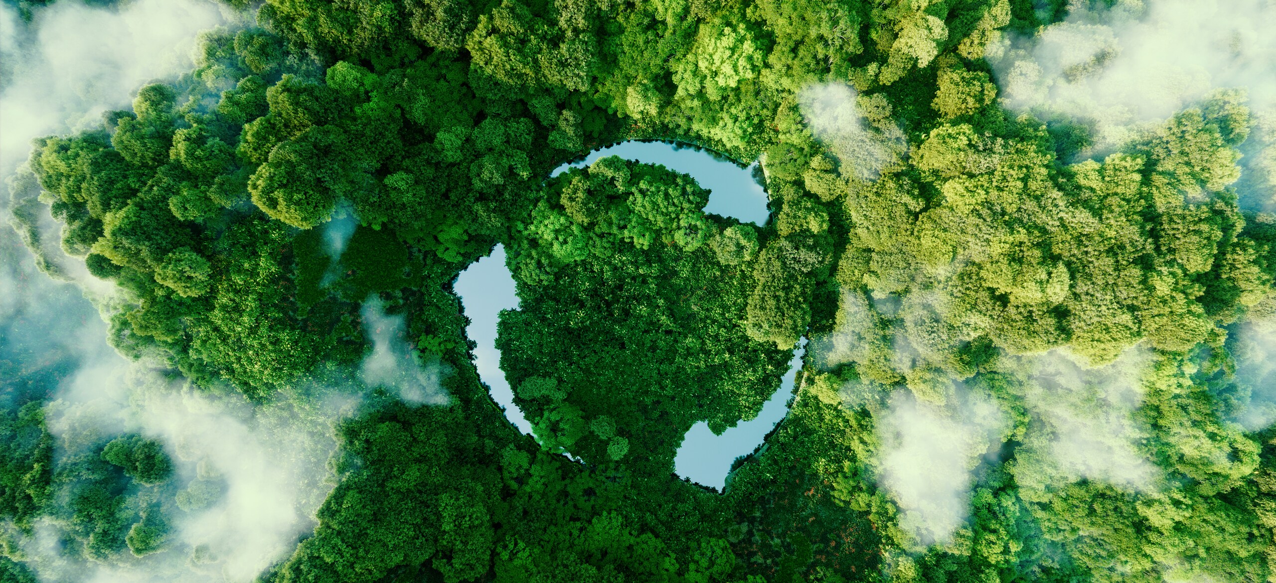 Bird's eye view of a forest with three arrow shaped lakes forming a circle