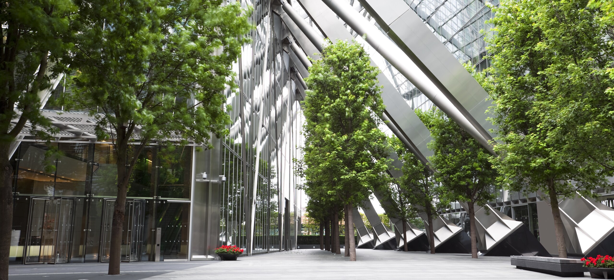 Outside the entrance of an office building with a line of trees