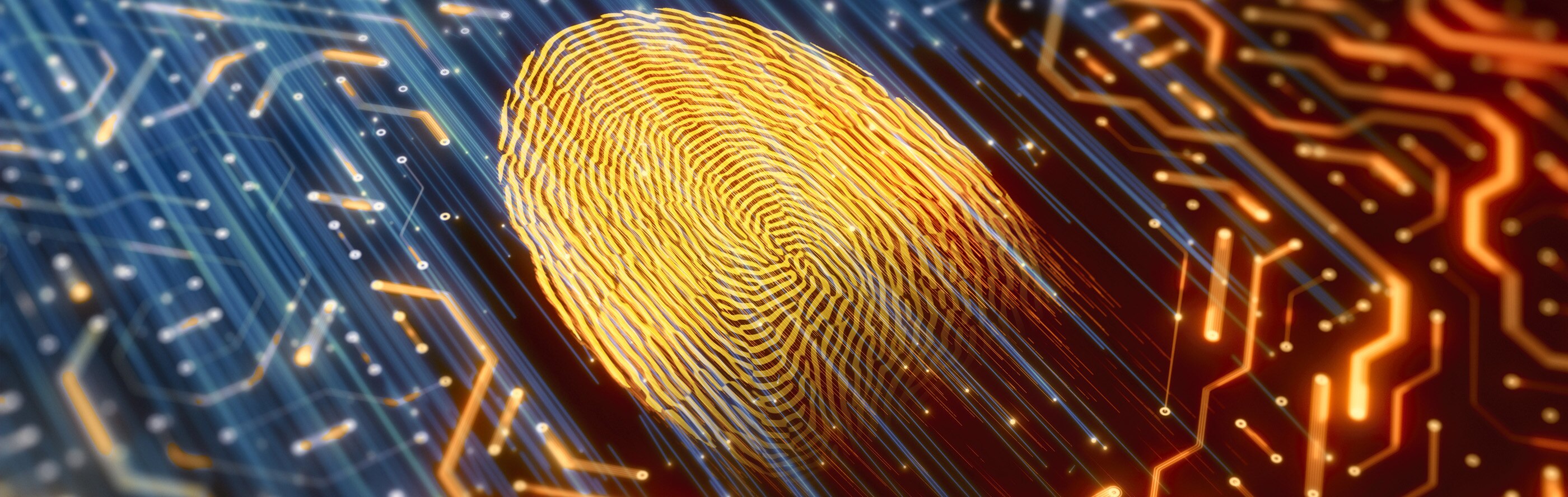 The Main Types of Biometric Security Circuit Diagram