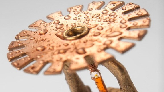 Close-up of a fire sprinkler hea