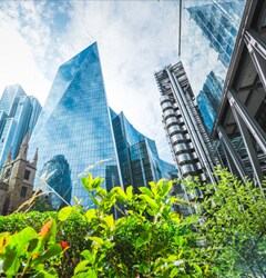 The UK Government's Energy Savings Opportunity Scheme (ESOS) and How We Can Help