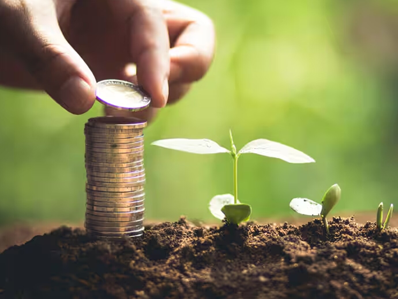 Person stacking up coins on soil next to saplings