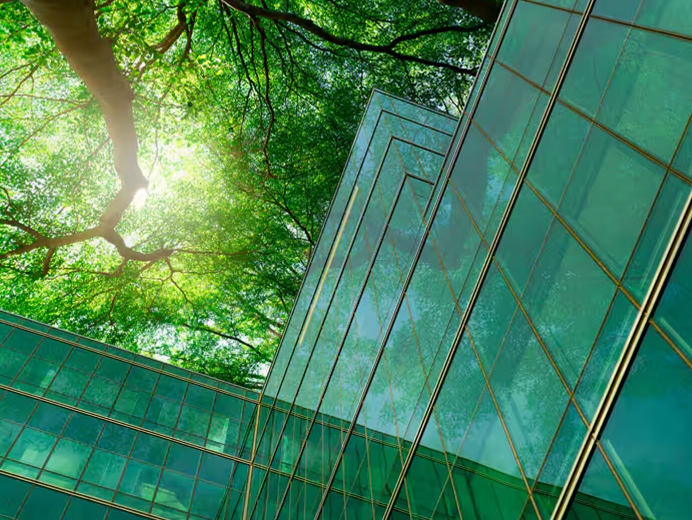 Exterior of glass building surrounded by greenery