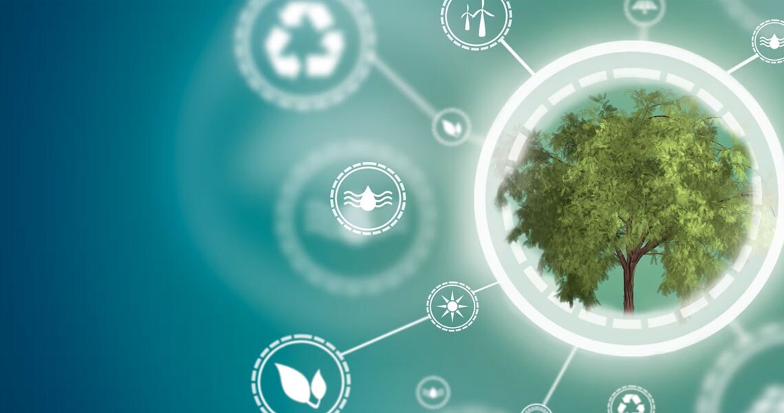 A tree within circular graphics surrounded by icons related to sustainability