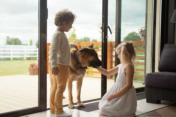 boy and girl petting dog