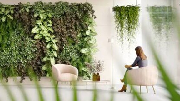 Woman sitting on chair