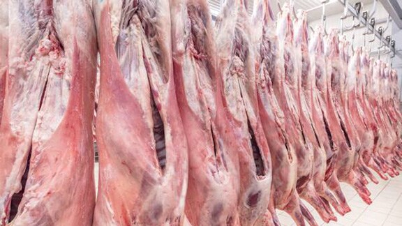 Rows of meat products hung in a cold storage freezer