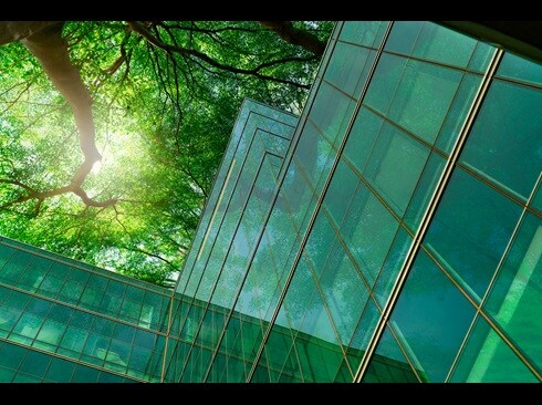 Sustainability