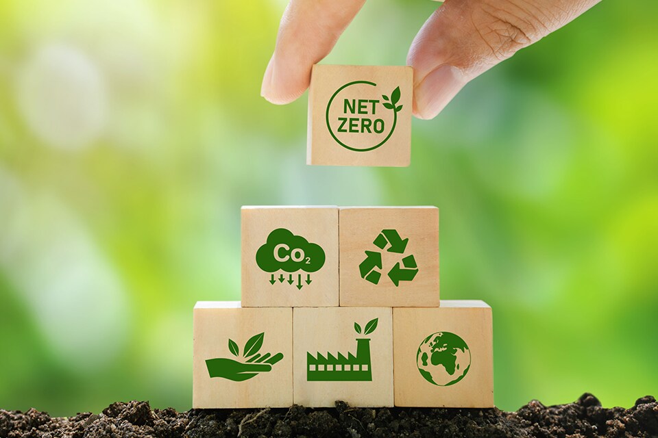 Small wooden blocks with green sustainability icons stacked on the ground