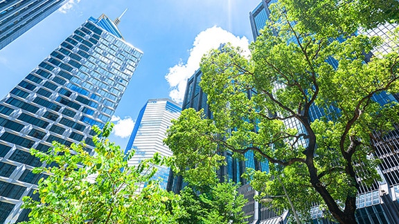 Trees and Buildings